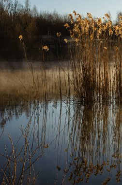 Sisli göl, arabadaki ayna yansıması, şafak güneşi.