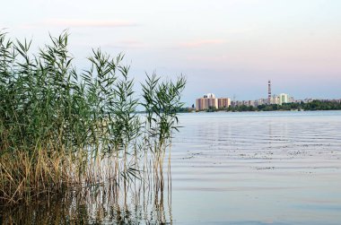 Sakinleştirici güneş ışınları ile doğal deniz mavisi arka plan. Beyaz bulutlu deniz ve gökyüzü. Kopya alanı, yaz tatili konsepti