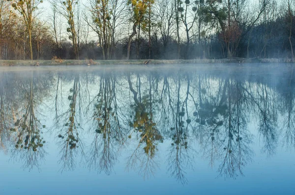Foggy Lake Mirror Reflection Cart Dawn Sun — Stock Photo, Image