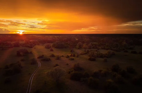 Auringonlasku Antenni Ilmakehän Näkymä Kaareva Hiekkainen Polku Moremi Metsä Botswana — kuvapankkivalokuva