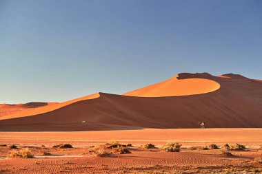 Pitoresk Namib Çölü manzara, büyük kırmızı tepeleri ile Güney Afrika antilopları, Oryx gazella mavi gökyüzü karşı. Tipik çöl çevre, yaban hayatı fotoğraf Namib Naukluft Milli Parkı, Namibia.