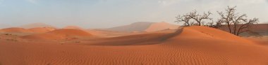 Pitoresk Namib Çölü manzara panoramik sahne yakınındaki ünlü Deadvlei mavi gökyüzü karşı büyük kırmızı tepeleri. Tipik çöl çevre, yaban hayatı fotoğraf Namib Naukluft Milli Parkı, Namibia.