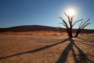 Pitoresk Deadvlei çöl manzara, ölü ağaç görünümü yıldızlı güneş tarafından arkadan, büyük kırmızı dunes Namib Naukluft Milli Parkı, Namibia ünlü Deadvlei yerin karşı yaktı.
