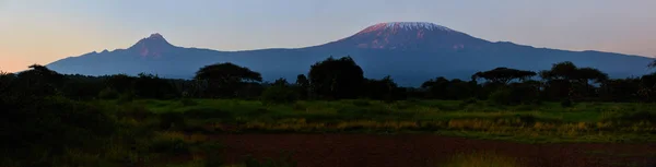 空中パノラマ ビュー キリマンジャロ火山手前に円形の塀を持つマサイ村で最初の太陽光線に照らされた雪の中で覆われた山頂 ケニアのアンボセリ国立公園境界線からの眺め — ストック写真
