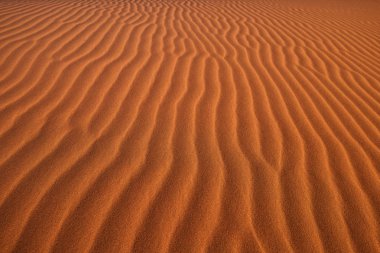 Çöl yapısı, kırmızı dune kum dalgaları ile yüzey. Namib Naukluft Milli Parkı, Namibya.