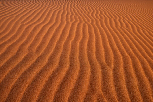 Desert structure, the surface of the red dune with sand waves. Namib Naukluft National Park, Namibia.