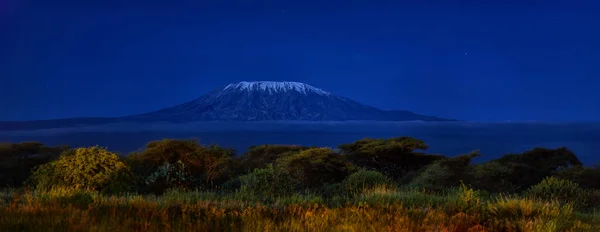 Panorama Natten Landskap Mount Kilimanjaro Snö Utjämnade Högsta Afrikanska Berg — Stockfoto