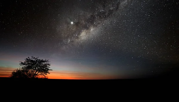 Kgalagadi Transfrontier Park, Afrika'da şafak söktüğünün ilk ipucu. Yıldızve samanyolu ile turuncu ufuk. Terk edilmiş bir savanada şafak vakti. Afrika gece manzarası. Huzurlu ve sessiz bir yer. Afrika'da Kamp.