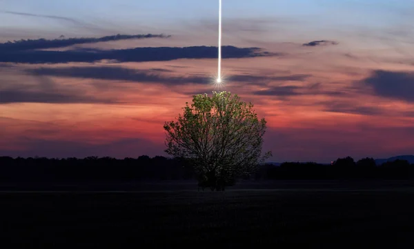 Vertical line of light over deciduous tree in a field,  generated by a drone. Long time photography. Unusual luminous lines in the landscape. Spiritual mood in nature. Drone lighting.