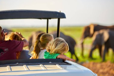 Safari tatili. Bir safari arabasının çatısından Afrika fillerini izleyen sarışın çocuklar. Amboseli Milli Parkı'nda safari tatil aile. Kenya, Tanzanya'da vahşi yaşam fotoğrafçılığı.
