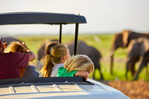 Vacanza Safari Bambini Biondi Che Guardano Elefanti Africani Dal Tetto — Foto Stock