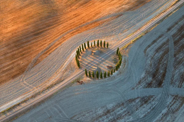 Тосканские Кипарисы Воздуха Тосканский Летний Пейзаж Воздушный Необычный Вид Типичных — стоковое фото
