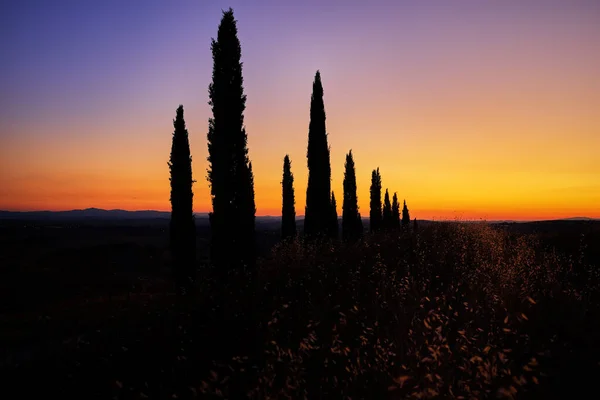 Turismo Toscana Siluetas Cipreses Alrededor Carretera Contra Cielo Naranja Azul — Foto de Stock
