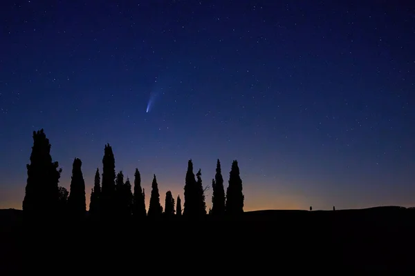 Cometa Neowise Sobre Silhoutte Los Árboles Del Ciprés Contra Cielo — Foto de Stock
