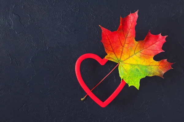 Kreative Herbstgestaltung Mit Verschiedenfarbigem Blatt Und Herzform Auf Dunklem Betonboden — Stockfoto