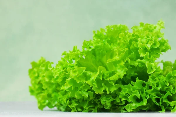 Fresh Green Lettuce Vintage Green Background Copy Space Summer Concept — Stock Photo, Image