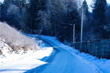 Güzel kış manzarası, karlı yol ve ağaçlar