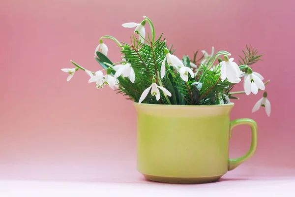 Creative Layout Made Snowdrop Flowers Bright Pink Background Spring Minimal — Stock Photo, Image