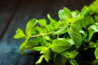 Koyu ahşap zemin üzerine taze nane