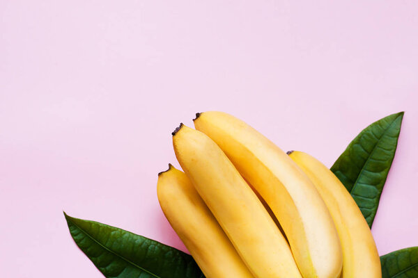 Top view of ripe bananas with palm leaf on a bright pink background. Minimal style.