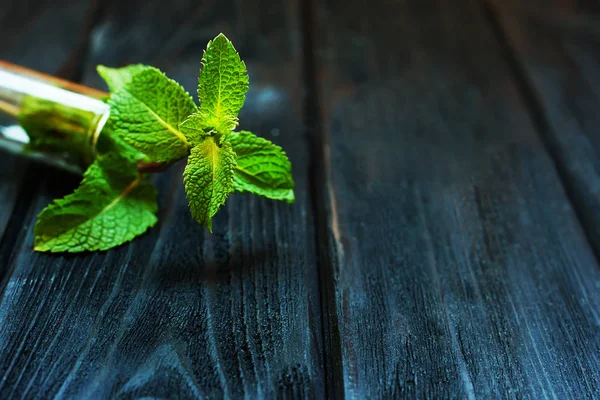 Fresh Mint Dark Wooden Background — Stock Photo, Image