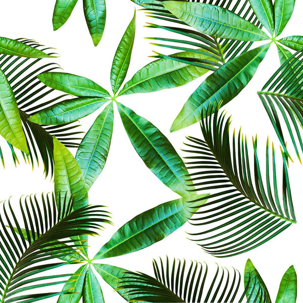 Тропический бесшовный рисунок с пальмовыми листьями на белом фоне
