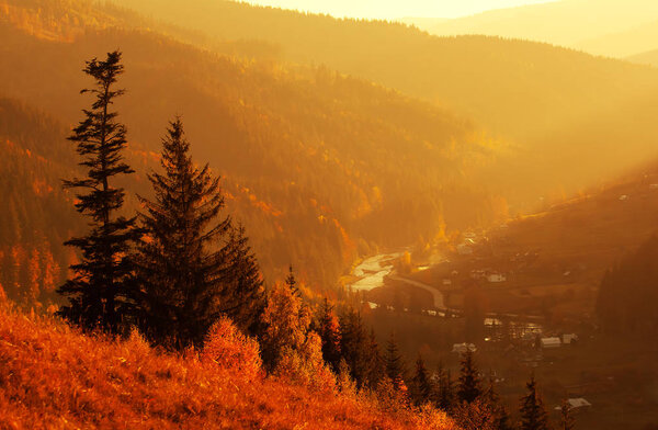 Солнечный день в горах - вид на осенний лес и реку в Карпатах
