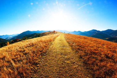 Sonbahar. Sonbahar. Orman Karpatlar - özgürlük ve açık alan dağ, orman ve mavi gökyüzü güneşli sonbahar panorama