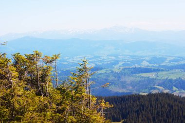 Gorgany doğa rezerv - dağlarda yürüyüş büyük kavram muhteşem manzarası