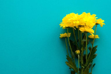 Papatya kopya alanı ile turkuaz arka plan üzerinde güzel buket
