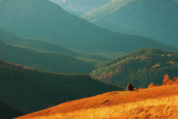 Orange, green and red colours of autumn forest in the Carpathian mountains