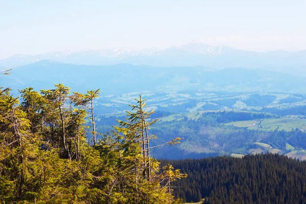 Gorgany doğa rezerv - dağlarda yürüyüş büyük kavram muhteşem manzarası