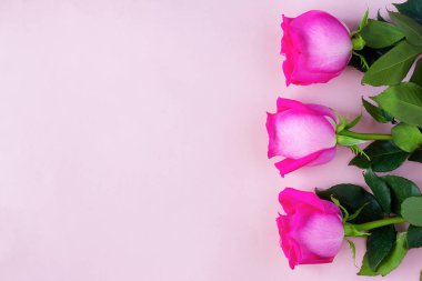 Sevgililer günü Doğum günü veya düğün ya da diğer Festival arka plan ile pembe gül pembe bir arka plan üzerinde. Kopya alanı ile üstten görünüm