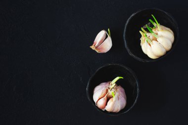 Koyu arka plan - üstten görünüm üzerinde kopya alanı ile diş sarımsak