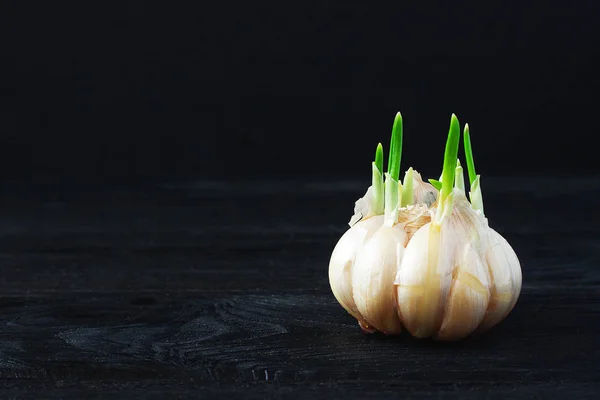 Garlic cloves with copy space on dark background — Stock Photo, Image