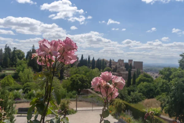 Alhambra, Granada, Andalucia Generalife güzel bahçeleri