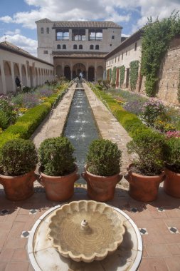 Alhambra, Granada, Andalucia Generalife güzel bahçeleri