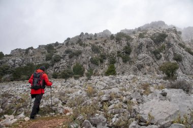 Hayran ve dağlar arasında yürüyüş