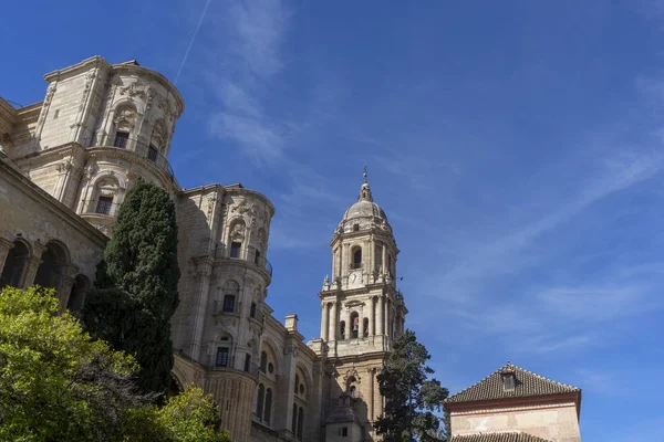 Kuzey Kulesi Andalusia Malaga Katedrali
