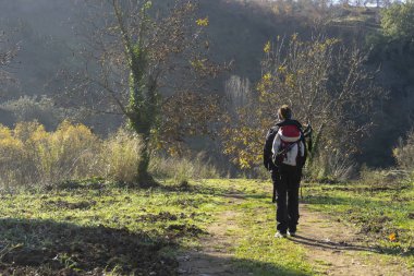 Chica que camina por el monte