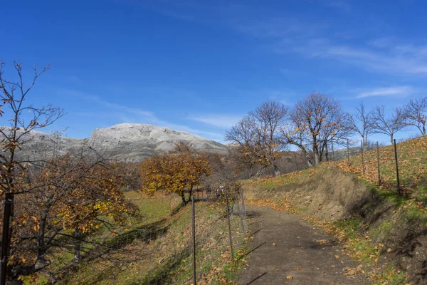 Wunderschöne Landschaft Des Genaltals Herbst — Stockfoto