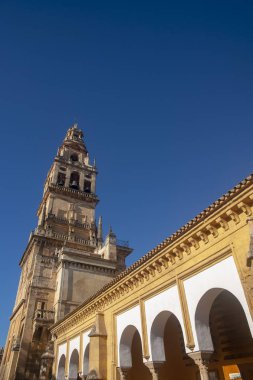 Cordoba, Andalusia katedral cami avlusu