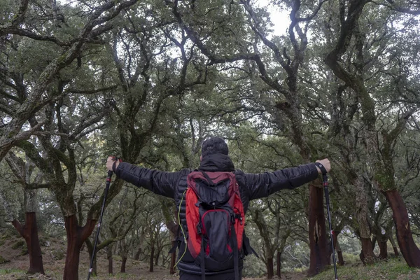 Hiker Procházející Lesem Mezi Stromy Mlhou — Stock fotografie