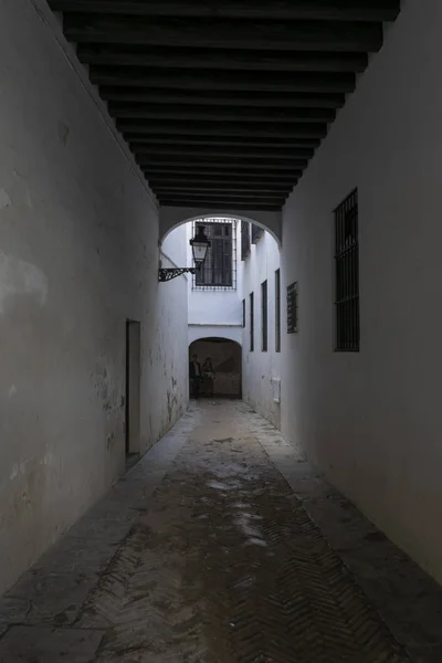 Walking Old Streets Jewish Quarter Seville Today Called Barrio Santa — Stock Photo, Image