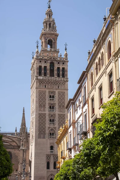 Vackra Torn Den Gamla Moskén Sevilla Giralda — Stockfoto
