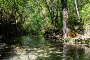 Cadiz 'deki El Bosque belediyesinde Majaceite nehrinin yolu.