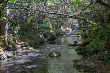 Cadiz 'deki El Bosque belediyesinde Majaceite nehrinin yolu.