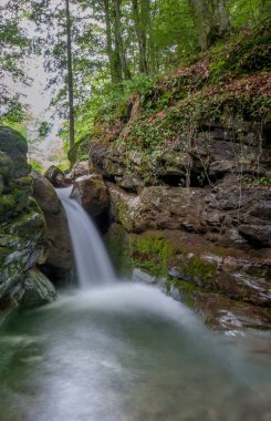 İç Barış Araştırmaları
