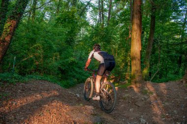 Ormanda rotaları üzerinden Bisiklete binme
