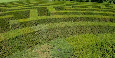 Labirent oluşturma ağaçları ile Bahçe